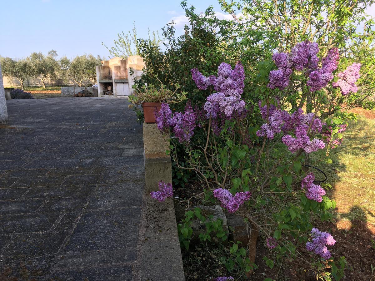 Corte Dei Salentini Carpignano Salentino Exteriér fotografie